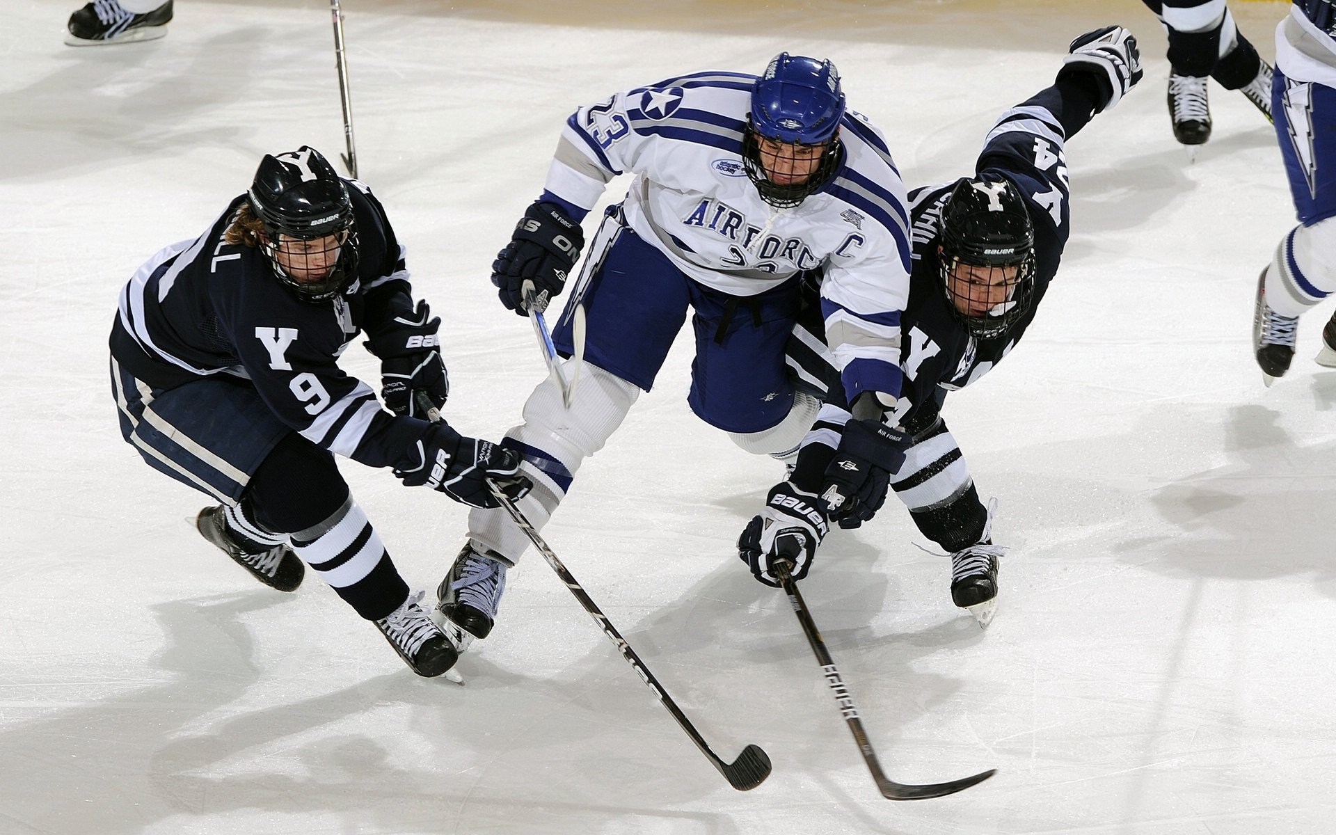 从沙尘到冰雪：WRC面对极端环境的策略
